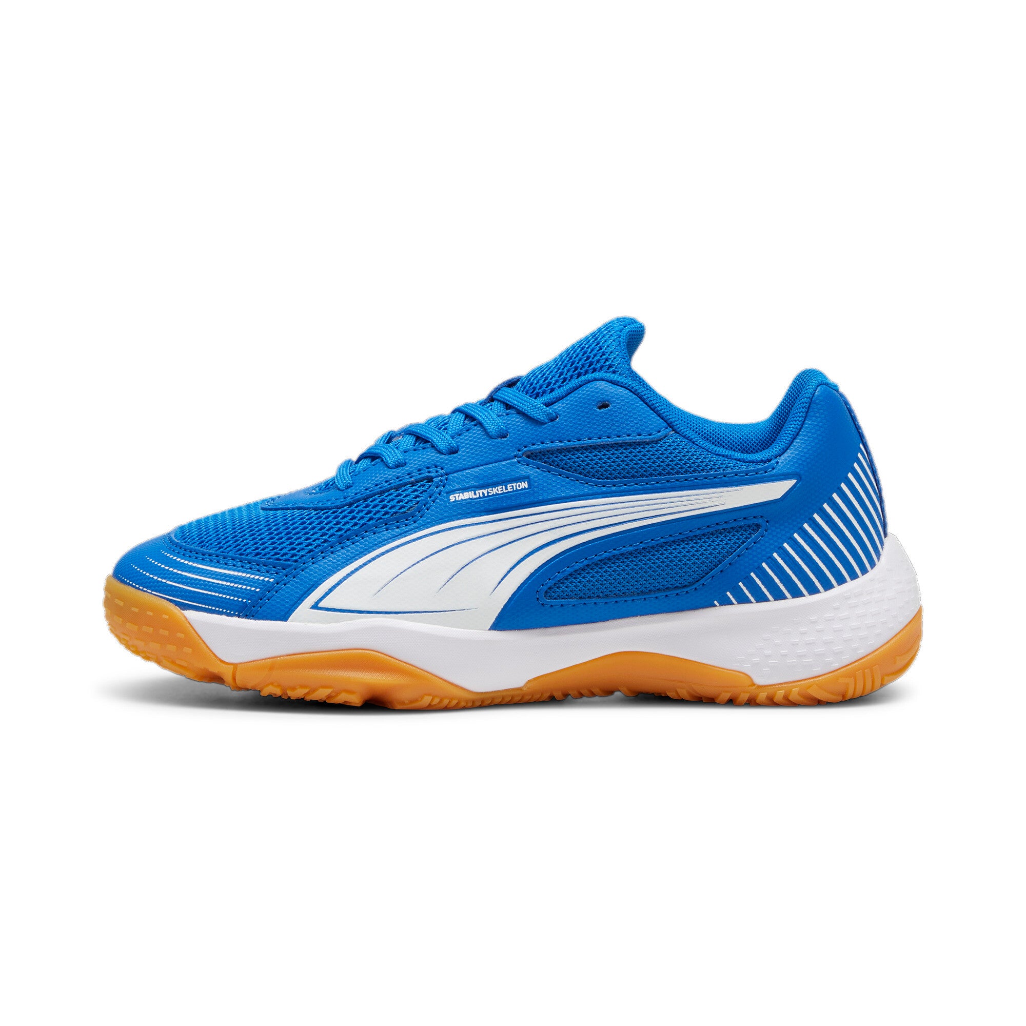 PUMA TEAM ROYAL-PUMA WHITE