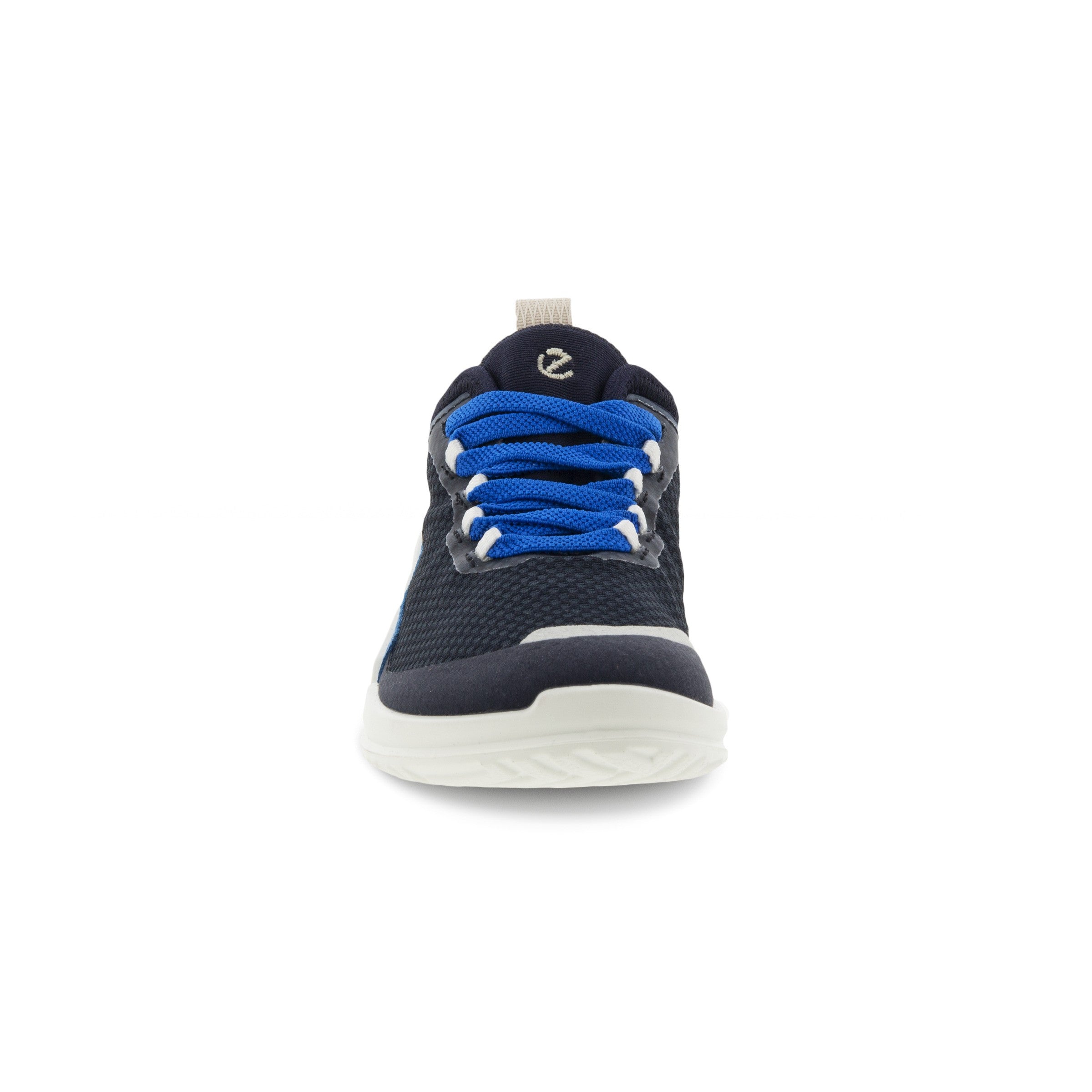 NIGHT SKY/DYNASTY/NIGHT SKY