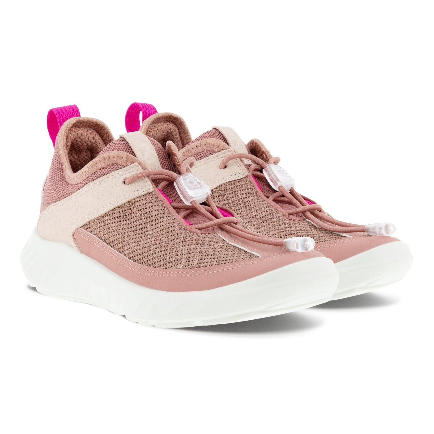 DAMASK ROSE/DAMASK ROSE/ROSE D