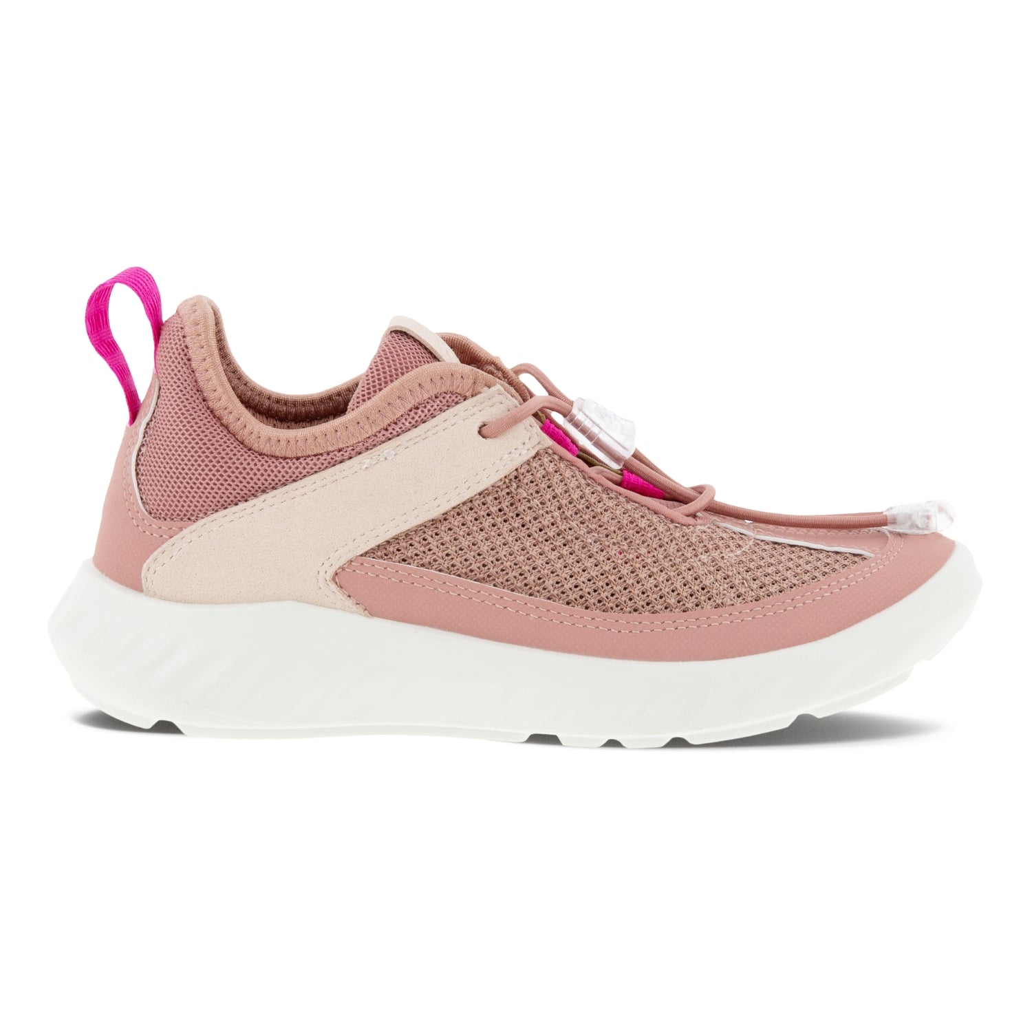 DAMASK ROSE/DAMASK ROSE/ROSE D