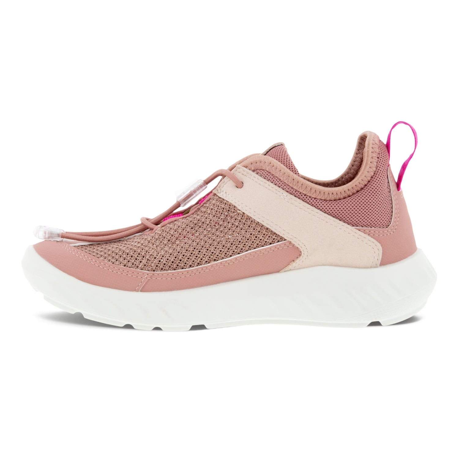 DAMASK ROSE/DAMASK ROSE/ROSE D