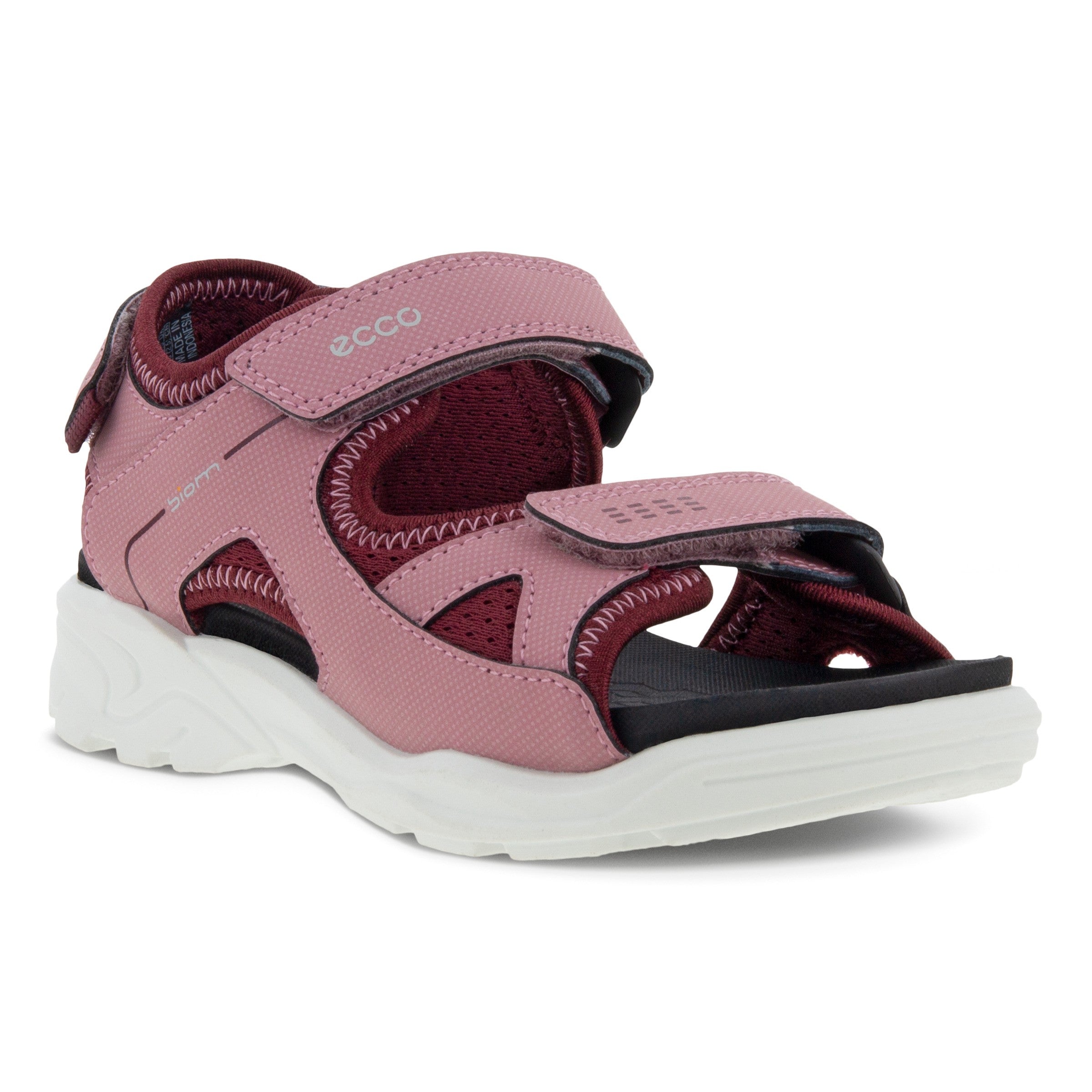 BLUSH/MORILLO