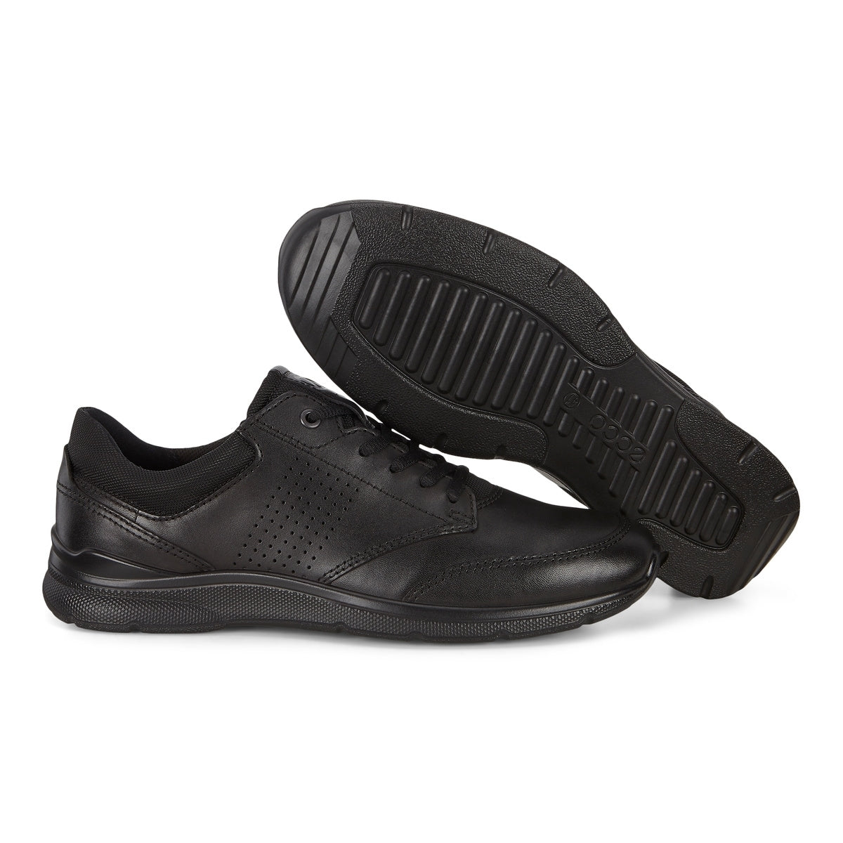 BLACK/BLACK