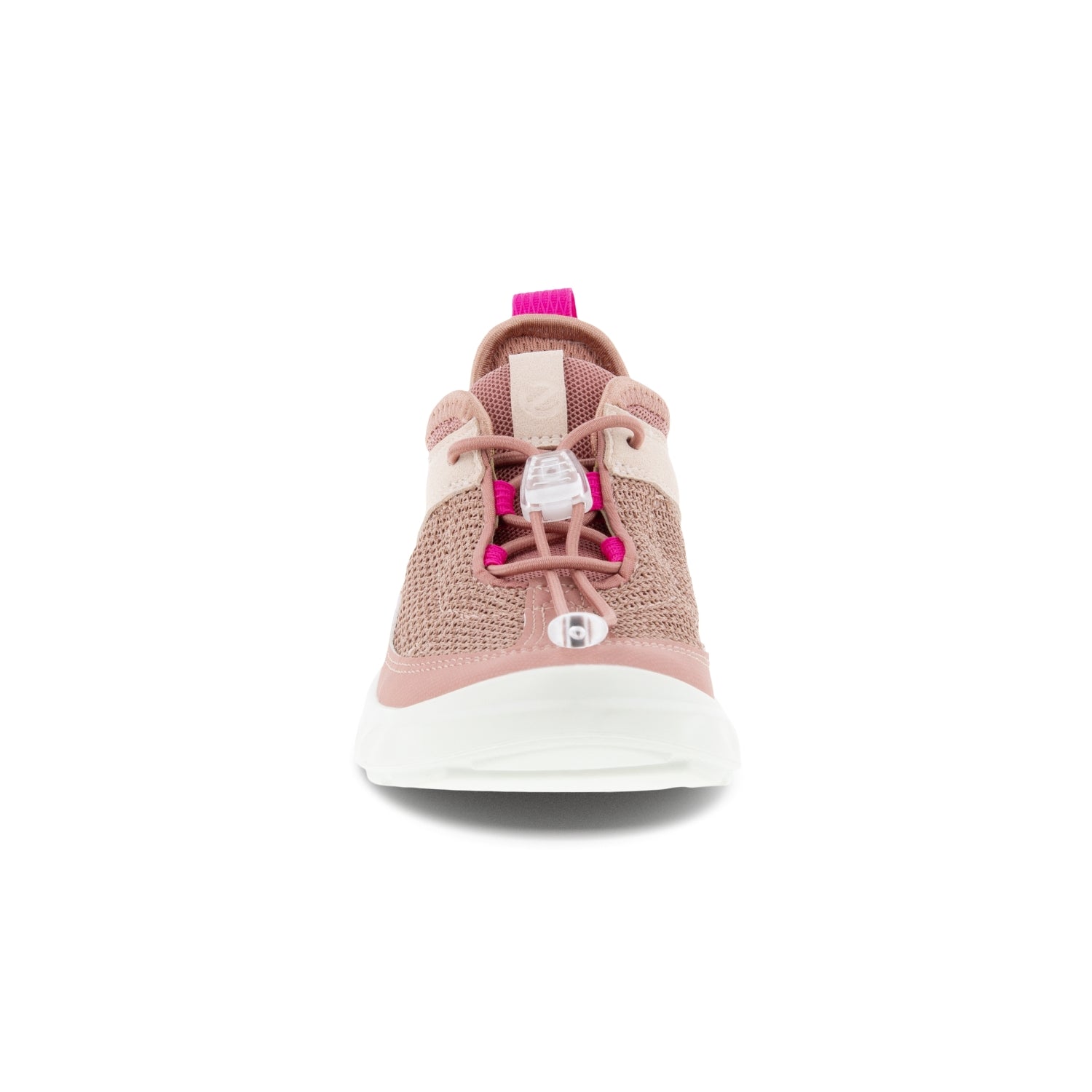 DAMASK ROSE/DAMASK ROSE/ROSE D
